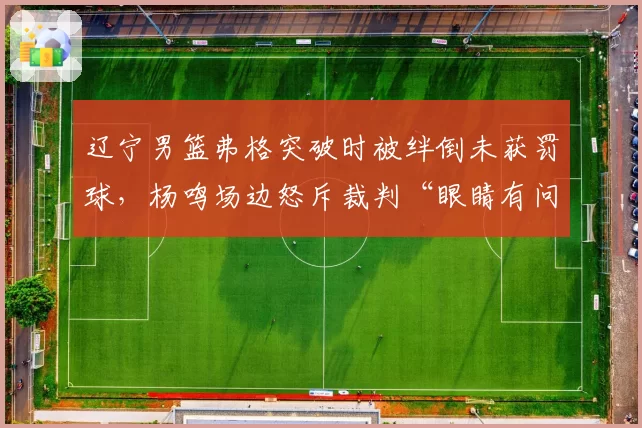 辽宁男篮弗格突破时被绊倒未获罚球，杨鸣场边怒斥裁判“眼睛有问题”