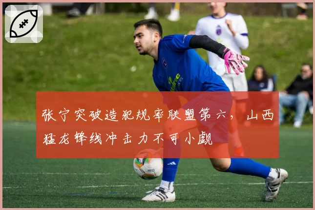 张宁突破造犯规率联盟第六，山西猛龙锋线冲击力不可小觑